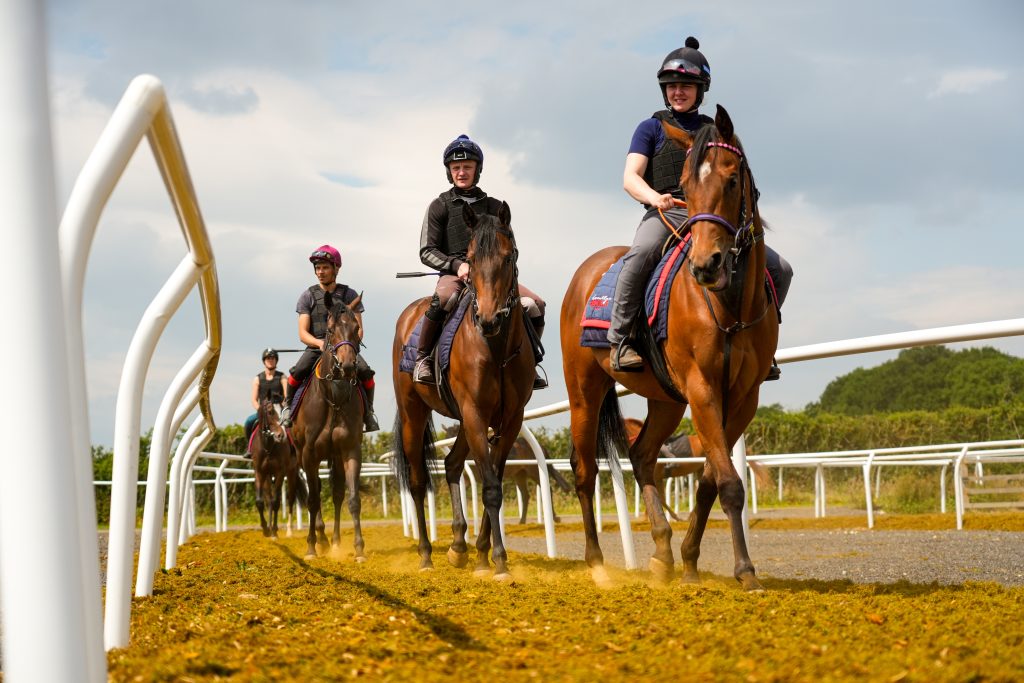 EBORACUM STABLES (YORK)